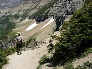 Why did the park ranger quit his job?
