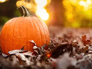 Why did the pumpkin give up acting?