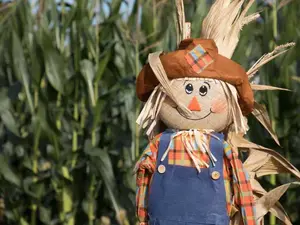 Why did the scarecrow win an award?