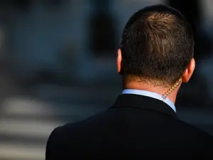 Why did the Secret Service bring a herd of cows to the White House?
