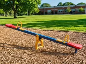 Why did the seesaw win the debate?