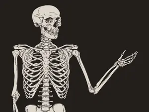 Why did the skeleton buy the base model car?