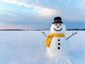 Why did the snowman look through a bag of carrots?