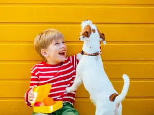 Why did the student wear a dog collar to school?