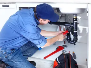 Why did the vegetable call the plumber?