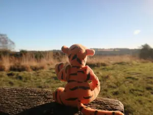 Why did Tigger™ stick his head in the toilet?