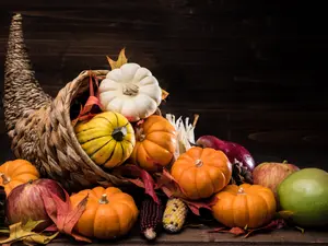 Why do brass bands always bring a cornucopia to Thanksgiving?