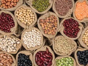 Why do legumes gossip so much?