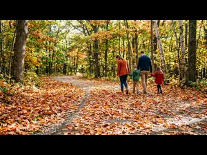 Why do people stumble when autumn arrives?