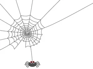 Why do spiders always know the answer to everything?