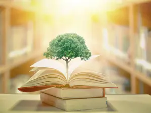 Why do trees hate going to school?