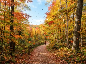 Why do trees try new things every fall?