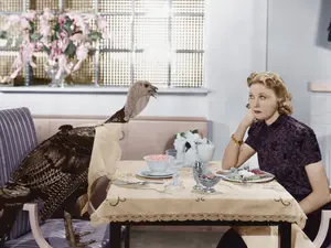 Why do turkeys taste best after giving them a compliment?