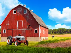Why does a barn sound so noisy?