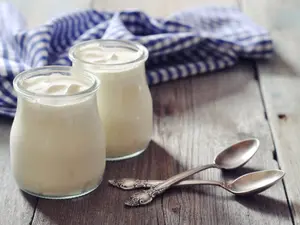 Why does the yogurt go to so many art museums?