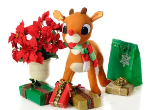 Why doesn't Rudolph mind getting wet?