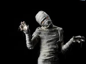Why don't mummies go on vacation?