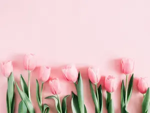 Why is the letter A like a spring flower?