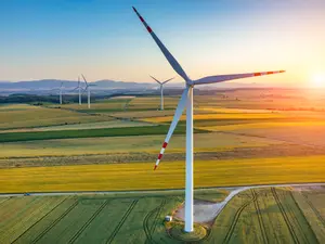 Why should celebrities learn how to build windmills?