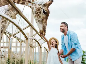 Why should you take your dad to the zoo for Father's Day?