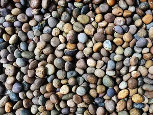Why was the dating app for rocks canceled?