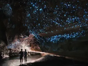 Why was the glow worm unhappy?