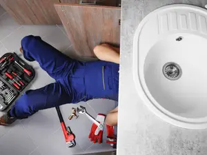 Why was the plumber predicted to win American Idol?