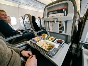 Why wasn't the meal on the tiny plane very good?