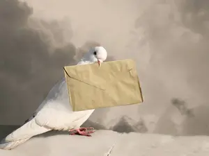 What do you get if you cross a woodpecker with a carrier pigeon?